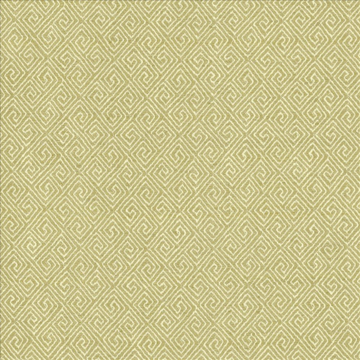 Kaiping Pear by Kasmir Fabric 1461 59% Polyester
41% Cotton
 INDIA </p><p>Repeat: Horizontal: 2 5/8 inches and Vertical: 3 inches 57 - Fabric Carolina -