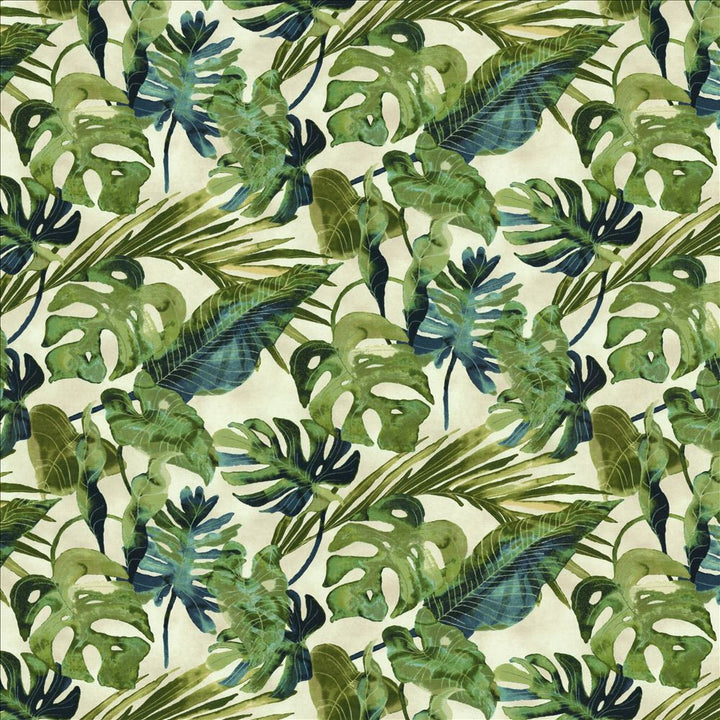 Kalani Aloe by Kasmir Fabric 5154 100% Cotton
 PERU 24,000 Wyzenbeek Double Rubs </p><p>Repeat: Horizontal: 27 inches and Vertical: 24 4/8 inches 54 - Fabric Carolina -