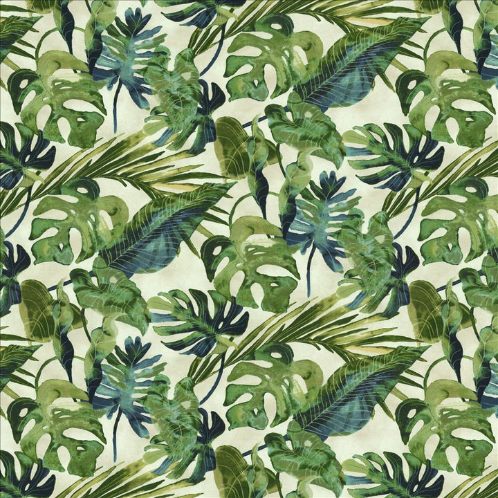 Kalani Aloe by Kasmir Fabric 5154 100% Cotton PERU 24,000 Wyzenbeek Double Rubs Horizontal: 27 inches and Vertical: 24 4/8 inches 54 - Fabric Carolina -