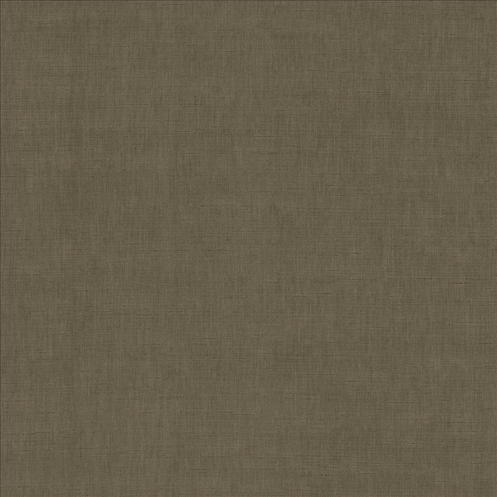 Kamari Chestnut by Kasmir Fabric 5150 100% Polyester
 INDIA </p><p>Repeat: Horizontal: N/A and Vertical: N/A 54 - Fabric Carolina -