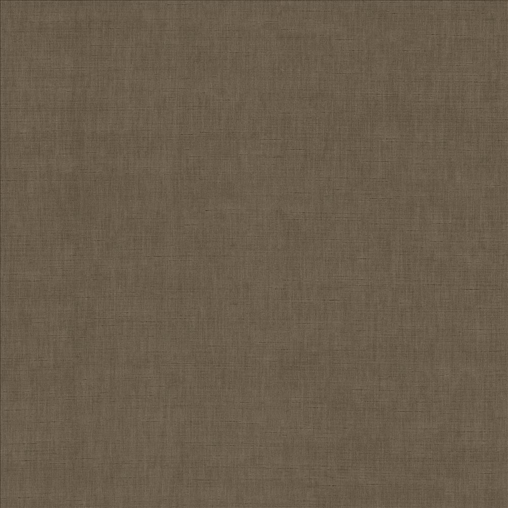 Kamari Chestnut by Kasmir Fabric 5150 100% Polyester
 INDIA Not Tested Horizontal: N/A and Vertical: N/A 54 - Fabric Carolina -