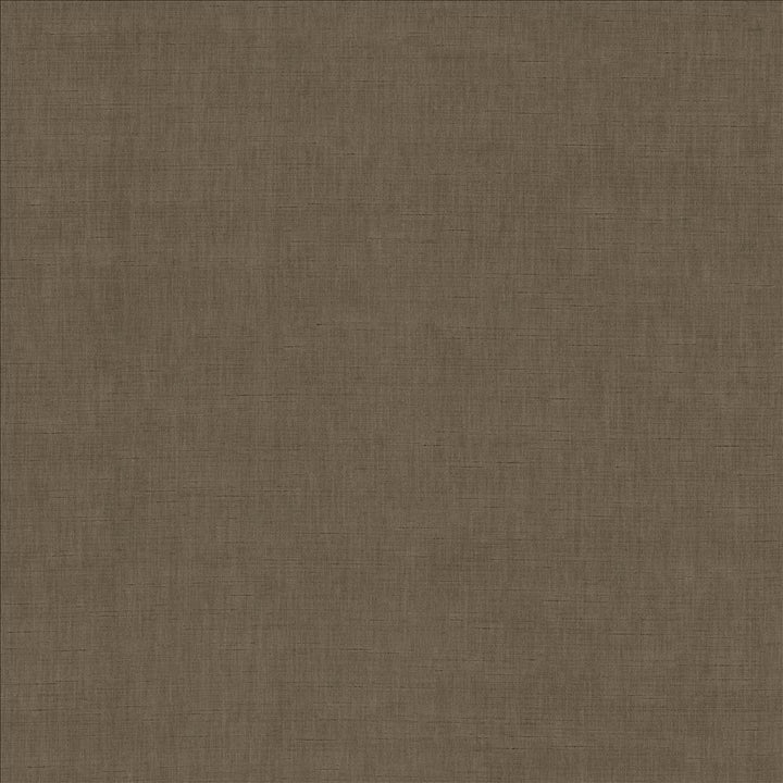 Kamari Chestnut by Kasmir Fabric 5150 100% Polyester
 INDIA Not Tested Horizontal: N/A and Vertical: N/A 54 - Fabric Carolina -