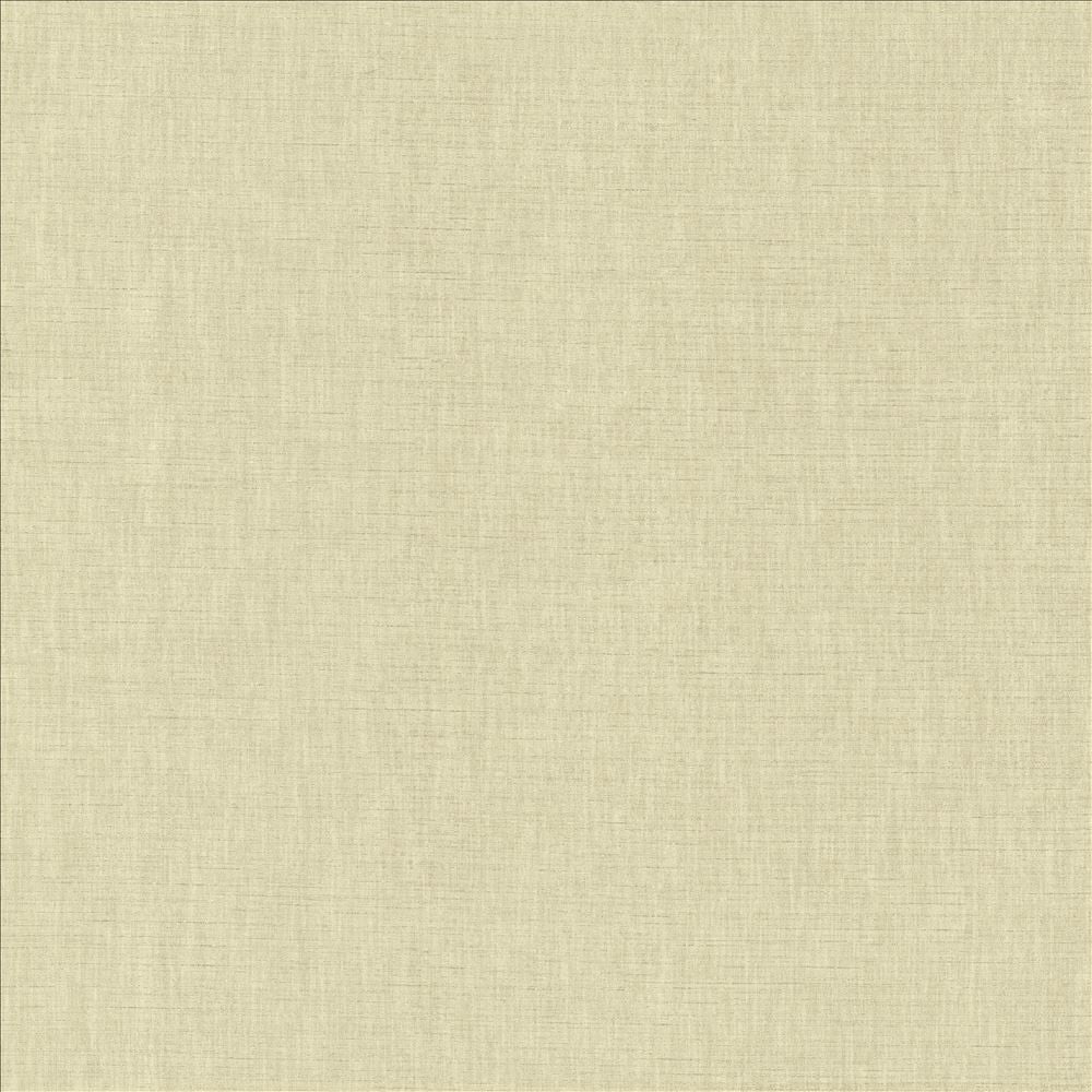 Kamari Dove Grey by Kasmir Fabric 5150 100% Polyester
 INDIA </p><p>Repeat: Horizontal: N/A and Vertical: N/A 54 - Fabric Carolina -