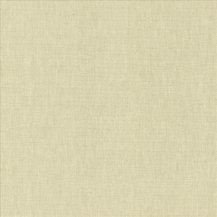 Kamari Dove Grey by Kasmir Fabric 5150 100% Polyester
 INDIA </p><p>Repeat: Horizontal: N/A and Vertical: N/A 54 - Fabric Carolina -