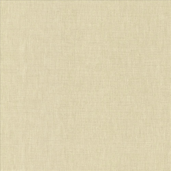 Kamari Dove Grey by Kasmir Fabric 5150 100% Polyester
 INDIA Not Tested Horizontal: N/A and Vertical: N/A 54 - Fabric Carolina -