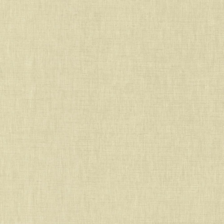 Kamari Dove Grey by Kasmir Fabric 5150 100% Polyester
 INDIA </p><p>Repeat: Horizontal: N/A and Vertical: N/A 54 - Fabric Carolina -