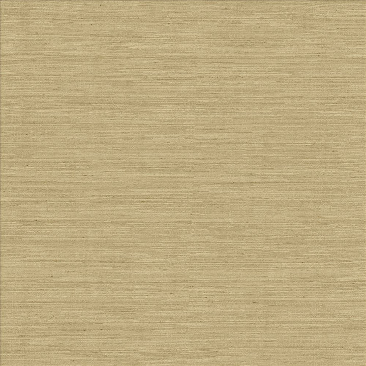 Kamari Natural  by Kasmir Fabric See sample 100% Polyester
 INDIA Not Tested </p><p>Repeat: Horizontal: N/A and Vertical: N/A 54  - Fabric Carolina -