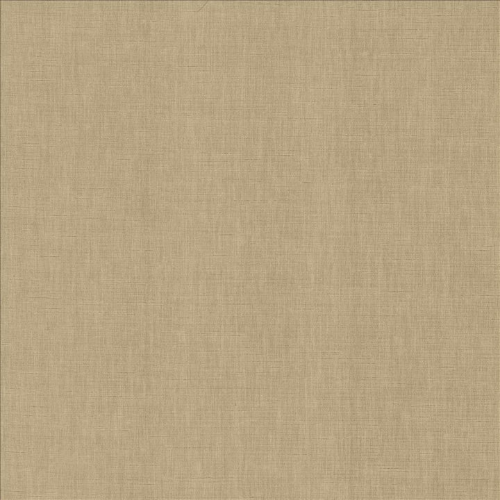 Kamari Pewter by Kasmir Fabric 5150 100% Polyester
 INDIA </p><p>Repeat: Horizontal: N/A and Vertical: N/A 54 - Fabric Carolina -