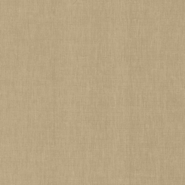 Kamari Pewter by Kasmir Fabric 5150 100% Polyester
 INDIA </p><p>Repeat: Horizontal: N/A and Vertical: N/A 54 - Fabric Carolina -