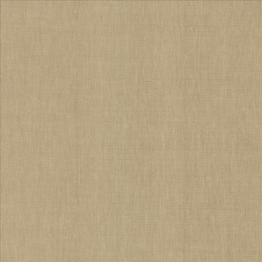Kamari Pewter by Kasmir Fabric 5150 100% Polyester
 INDIA Not Tested Horizontal: N/A and Vertical: N/A 54 - Fabric Carolina -