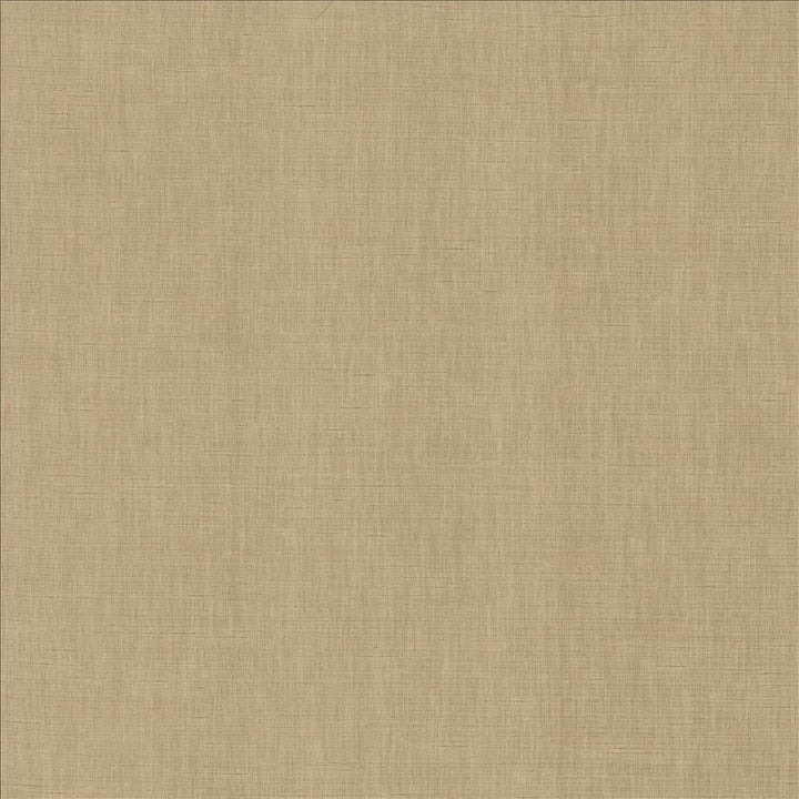 Kamari Pewter  by Kasmir Fabric See sample 100% Polyester
 INDIA Not Tested </p><p>Repeat: Horizontal: N/A and Vertical: N/A 54  - Fabric Carolina -