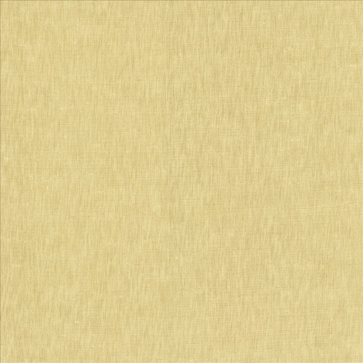 Kamari Sand by Kasmir Fabric 5150 100% Polyester
 INDIA Not Tested </p><p>Repeat: Horizontal: N/A and Vertical: N/A 54 - Fabric Carolina -