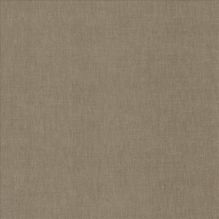 Kamari Silver Cloud by Kasmir Fabric 5150 100% Polyester INDIA Not Tested Horizontal: 0 Inches and Vertical: 0 Inches 54 - Fabric Carolina -