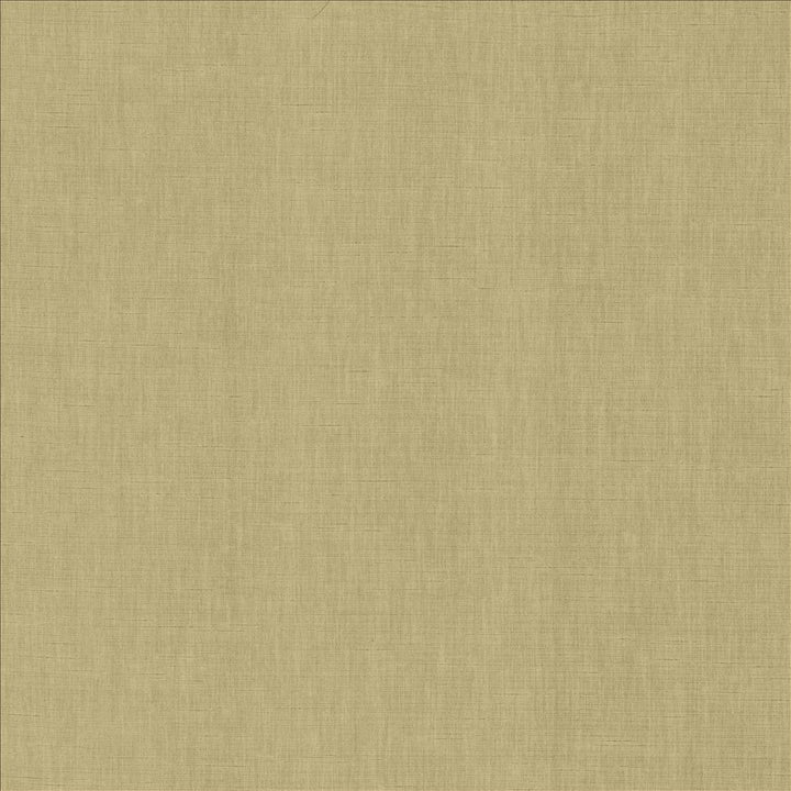 Kamari Taupe  by Kasmir Fabric See sample 100% Polyester
 INDIA Not Tested </p><p>Repeat: Horizontal: N/A and Vertical: N/A 54  - Fabric Carolina -