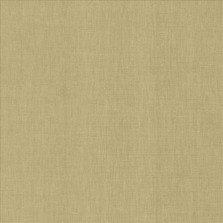 Kamari Taupe by Kasmir Fabric 5150 100% Polyester
 INDIA </p><p>Repeat: Horizontal: N/A and Vertical: N/A 54 - Fabric Carolina -