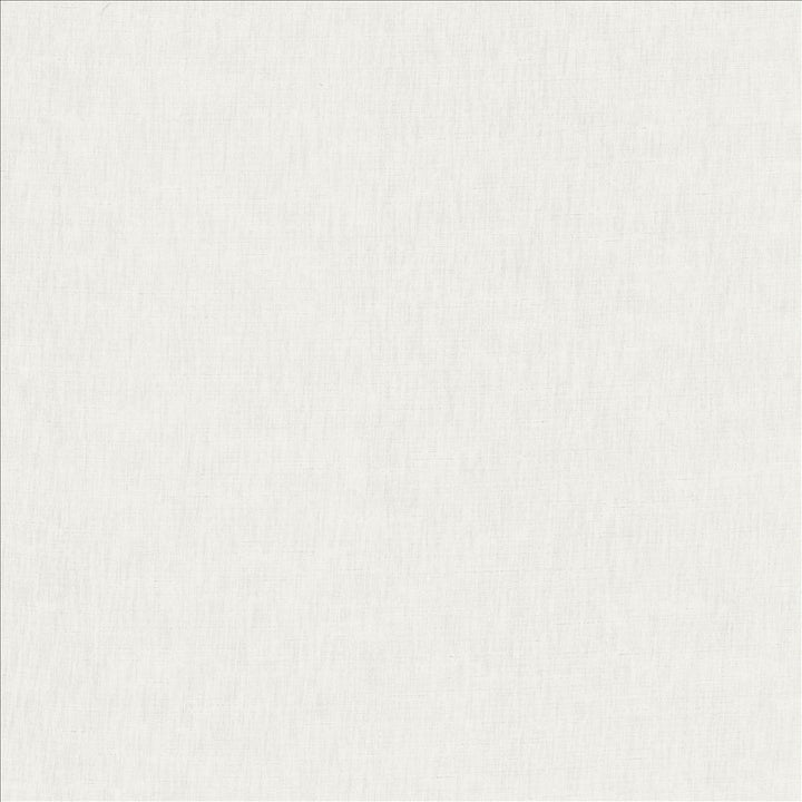 Kamari White by Kasmir Fabric 5150 100% Polyester
 INDIA </p><p>Repeat: Horizontal: N/A and Vertical: N/A 54 - Fabric Carolina -