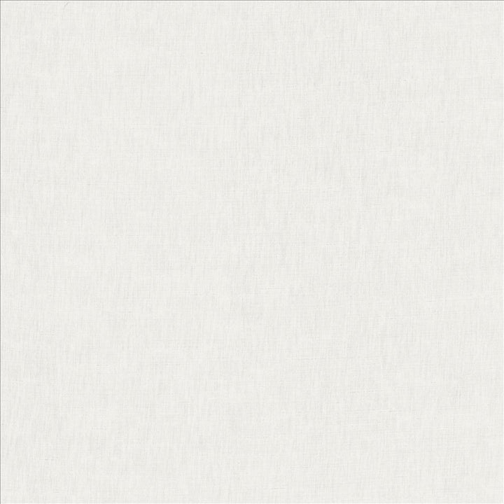 Kamari White  by Kasmir Fabric See sample 100% Polyester
 INDIA Not Tested </p><p>Repeat: Horizontal: N/A and Vertical: N/A 54  - Fabric Carolina -