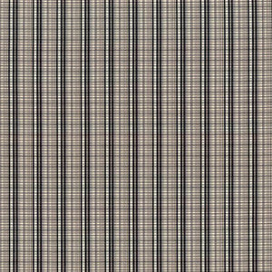 Kandon Place Pepper by Kasmir Fabric
