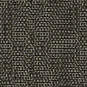 Karat Black by Kasmir Fabric