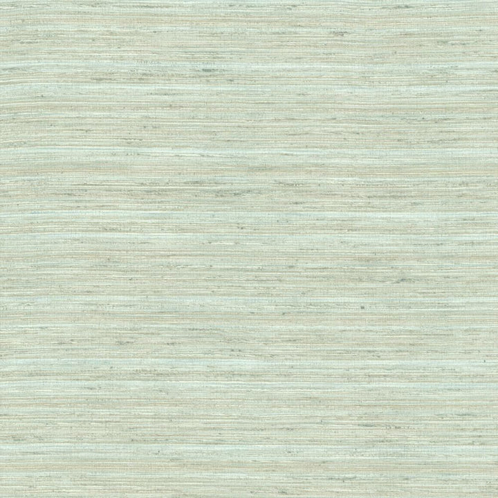 Karma Aquamist by Kasmir Fabric 5131 75% Polyester
25% Viscose
 INDIA </p><p>Repeat: Horizontal: N/A and Vertical: N/A 54 - Fabric Carolina -
