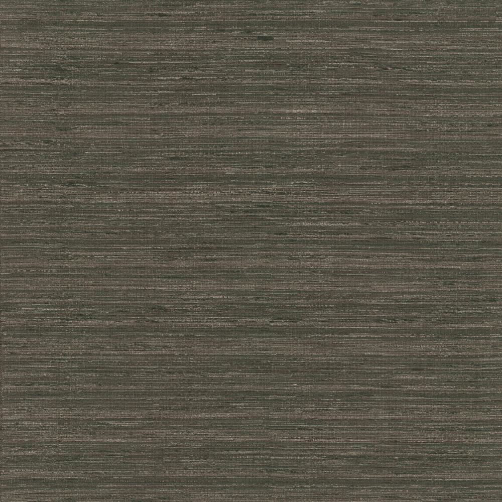 Karma Coal by Kasmir Fabric 5131 75% Polyester
25% Viscose
 INDIA </p><p>Repeat: Horizontal: N/A and Vertical: N/A 54 - Fabric Carolina -