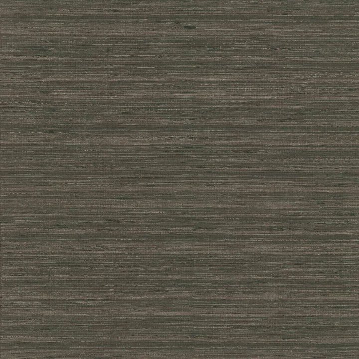 Karma Coal by Kasmir Fabric 5131 75% Polyester
25% Viscose
 INDIA </p><p>Repeat: Horizontal: N/A and Vertical: N/A 54 - Fabric Carolina -