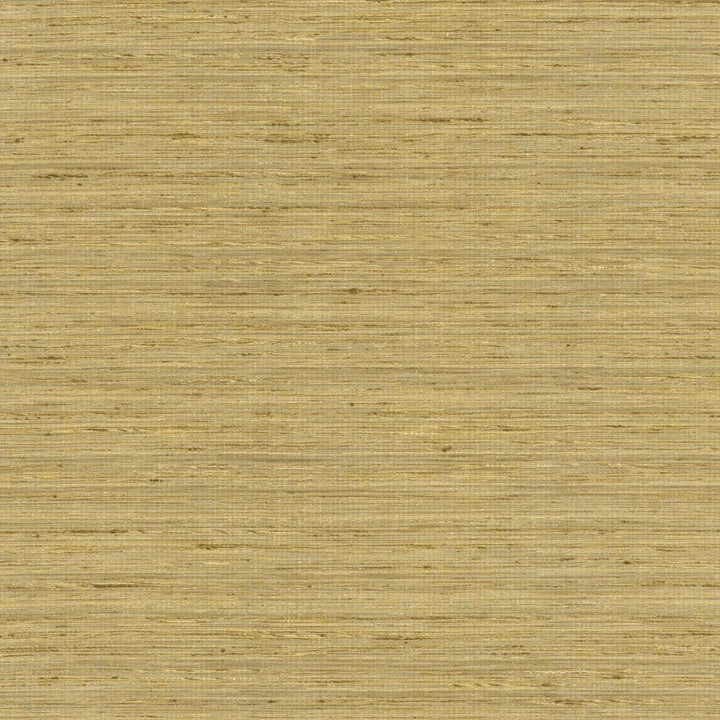 Karma Coin by Kasmir Fabric 5131 75% Polyester
25% Viscose
 INDIA </p><p>Repeat: Horizontal: N/A and Vertical: N/A 54 - Fabric Carolina -