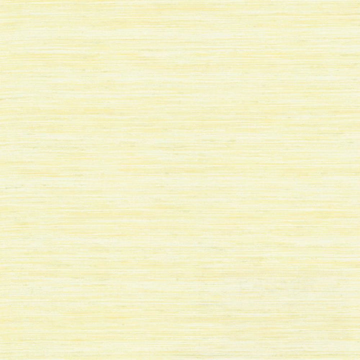 Karma Cream by Kasmir Fabric 5131 75% Polyester
25% Viscose
 INDIA </p><p>Repeat: Horizontal: N/A and Vertical: N/A 54 - Fabric Carolina -