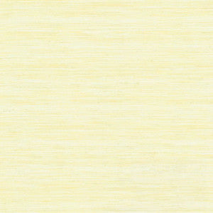 Karma Cream by Kasmir Fabric