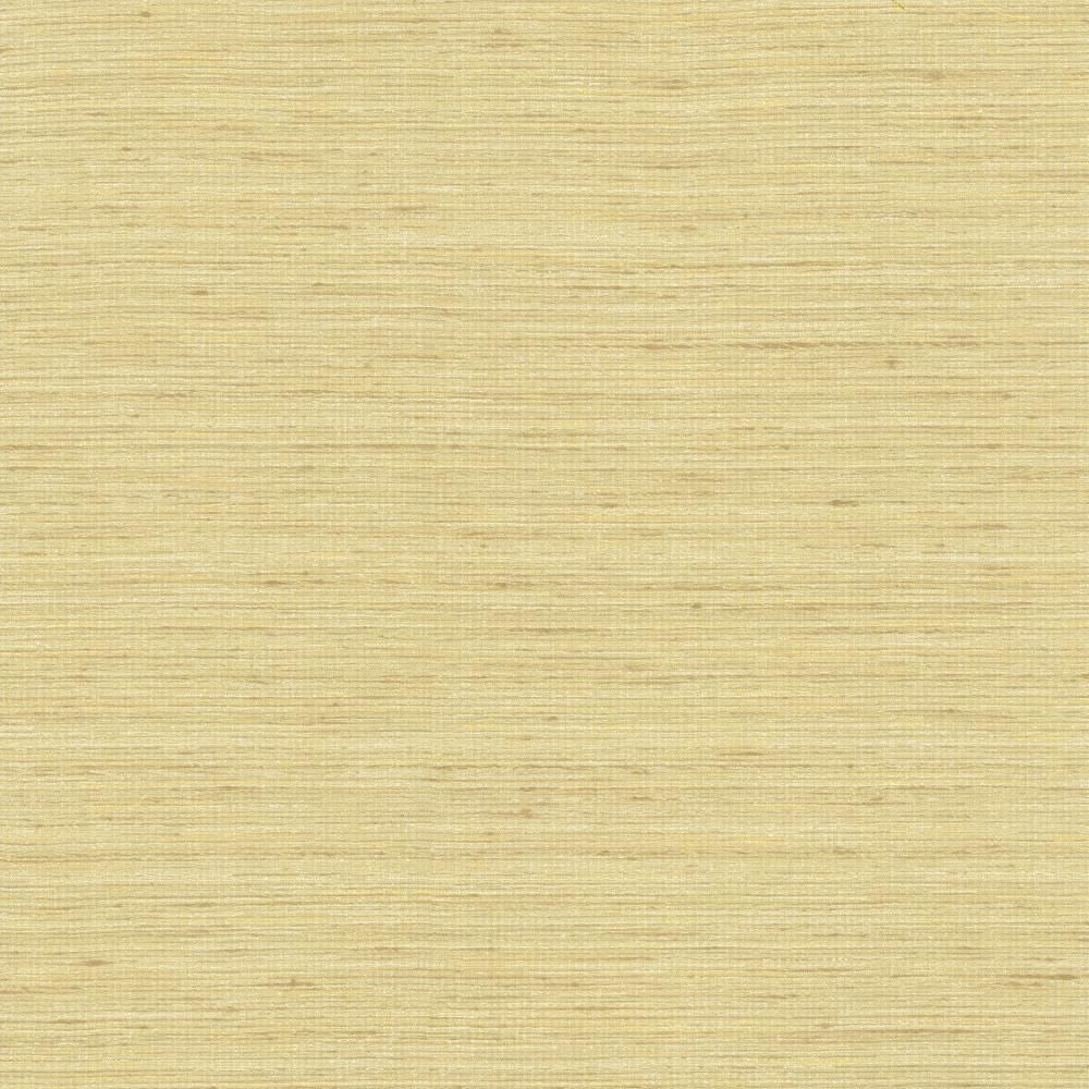 Karma Ecru by Kasmir Fabric 5131 75% Polyester
25% Viscose
 INDIA </p><p>Repeat: Horizontal: N/A and Vertical: N/A 54 - Fabric Carolina -