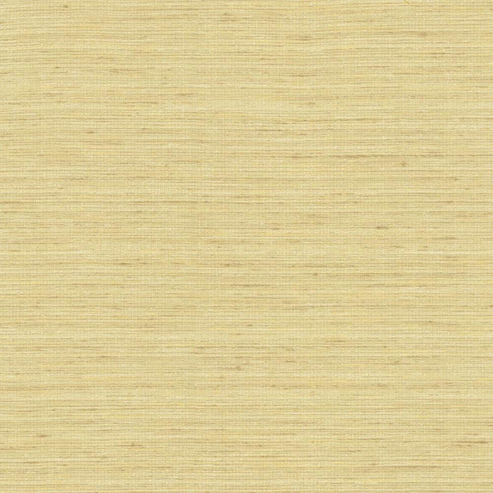 Karma Ecru by Kasmir Fabric 5131 75% Polyester
25% Viscose
 INDIA </p><p>Repeat: Horizontal: N/A and Vertical: N/A 54 - Fabric Carolina -