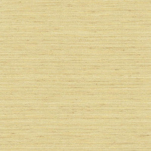 Karma Ecru by Kasmir Fabric