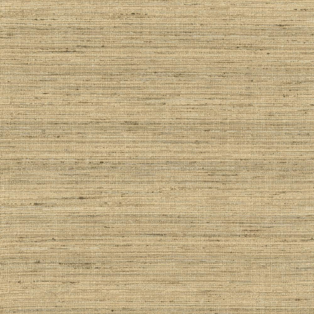 Karma Latte by Kasmir Fabric 5131 75% Polyester
25% Viscose
 INDIA </p><p>Repeat: Horizontal: N/A and Vertical: N/A 54 - Fabric Carolina -