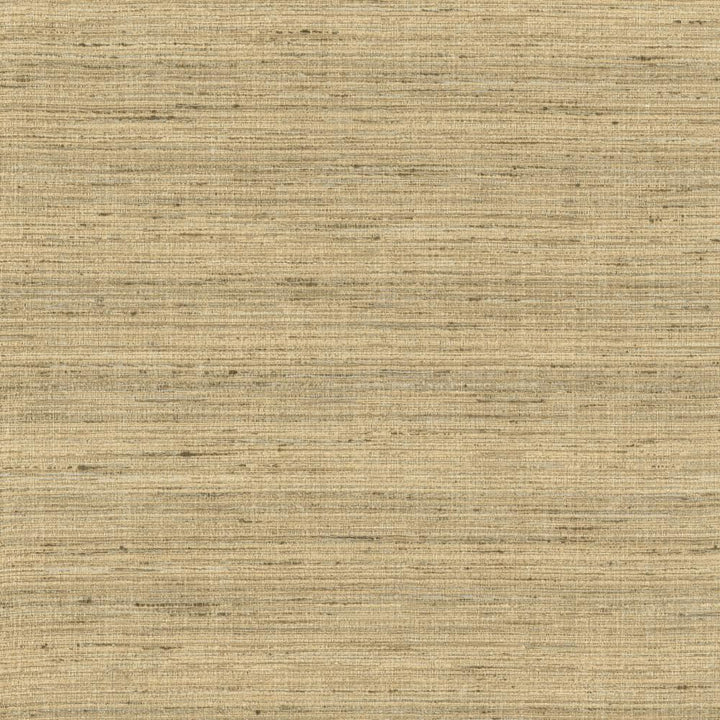 Karma Latte by Kasmir Fabric 5131 75% Polyester
25% Viscose
 INDIA </p><p>Repeat: Horizontal: N/A and Vertical: N/A 54 - Fabric Carolina -