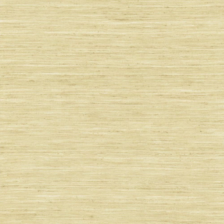 Karma Linen by Kasmir Fabric 5131 75% Polyester
25% Viscose
 INDIA </p><p>Repeat: Horizontal: N/A and Vertical: N/A 54 - Fabric Carolina -