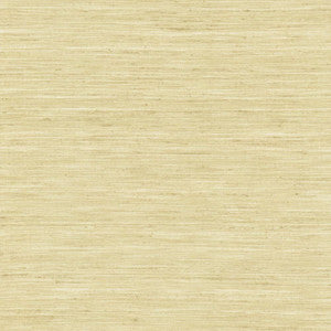 Karma Linen by Kasmir Fabric