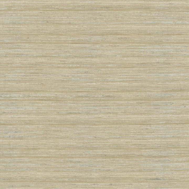 Karma Mica by Kasmir Fabric 5131 75% Polyester
25% Viscose
 INDIA </p><p>Repeat: Horizontal: N/A and Vertical: N/A 54 - Fabric Carolina -