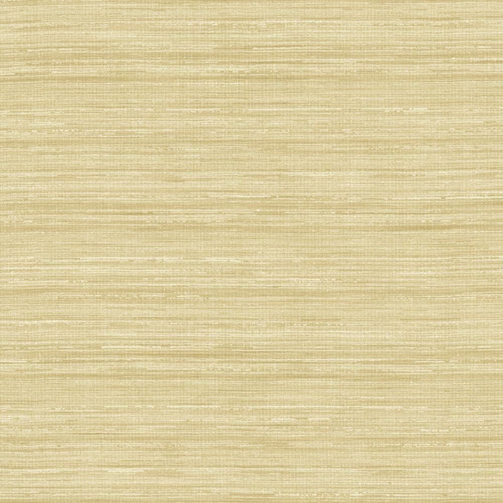 Karma Oyster by Kasmir Fabric 5131 75% Polyester
25% Viscose
 INDIA </p><p>Repeat: Horizontal: N/A and Vertical: N/A 54 - Fabric Carolina -