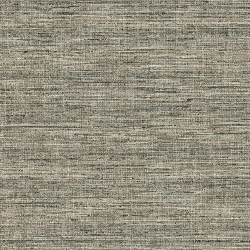 Karma Pewter by Kasmir Fabric 5131 75% Polyester
25% Viscose
 INDIA </p><p>Repeat: Horizontal: N/A and Vertical: N/A 54 - Fabric Carolina -