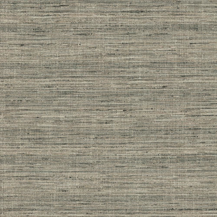 Karma Pewter by Kasmir Fabric 5131 75% Polyester
25% Viscose
 INDIA </p><p>Repeat: Horizontal: N/A and Vertical: N/A 54 - Fabric Carolina -