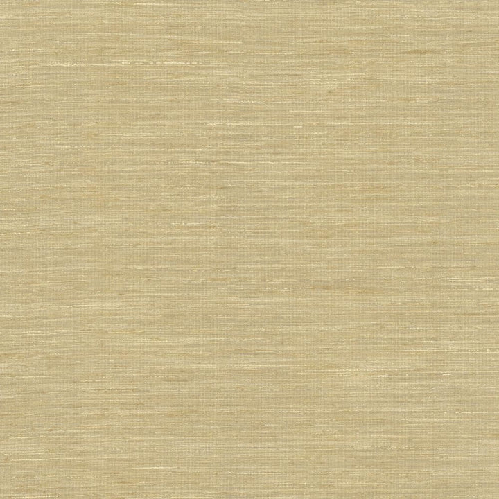 Karma Taupe by Kasmir Fabric 5131 75% Polyester
25% Viscose
 INDIA </p><p>Repeat: Horizontal: N/A and Vertical: N/A 54 - Fabric Carolina -