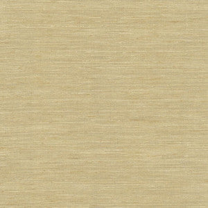 Karma Taupe by Kasmir Fabric