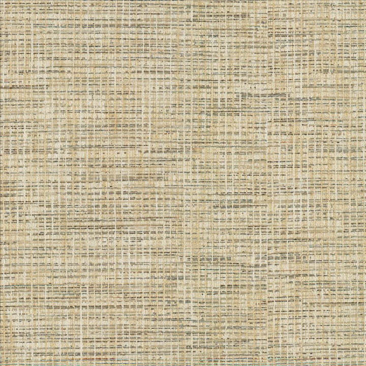 Katniss Chrome by Kasmir Fabric 1461 86% Polyester
14% Rayon
 INDIA </p><p>Repeat: Horizontal: N/A and Vertical: N/A 57 - Fabric Carolina -