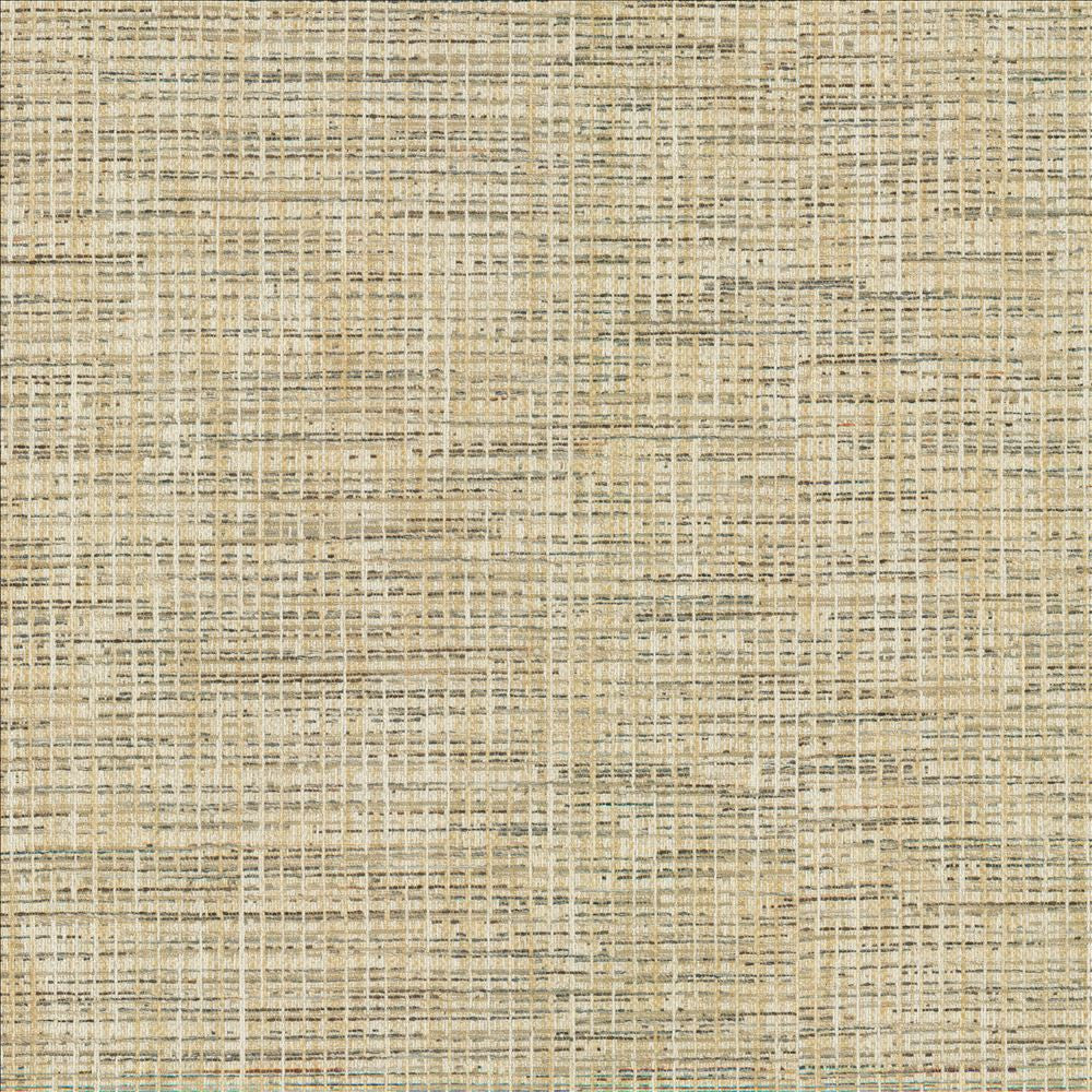 Katniss Chrome by Kasmir Fabric 1461 86% Polyester
14% Rayon
 INDIA 100,000 Wyzenbeek Double Rubs Horizontal: N/A and Vertical: N/A 57 - Fabric Carolina -