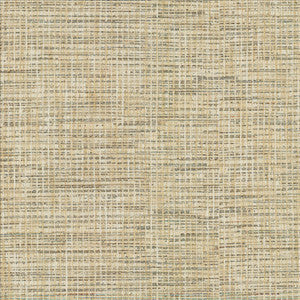 Katniss Chrome by Kasmir Fabric