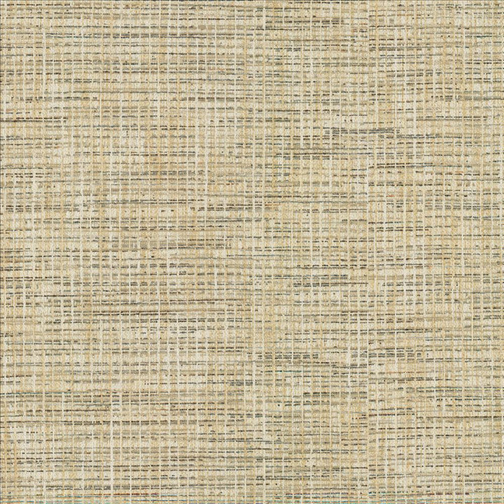Katniss Chrome by Kasmir Fabric 1461 86% Polyester
14% Rayon
 INDIA 100,000 Wyzenbeek Double Rubs </p><p>Repeat: Horizontal: N/A and Vertical: N/A 57 - Fabric Carolina -