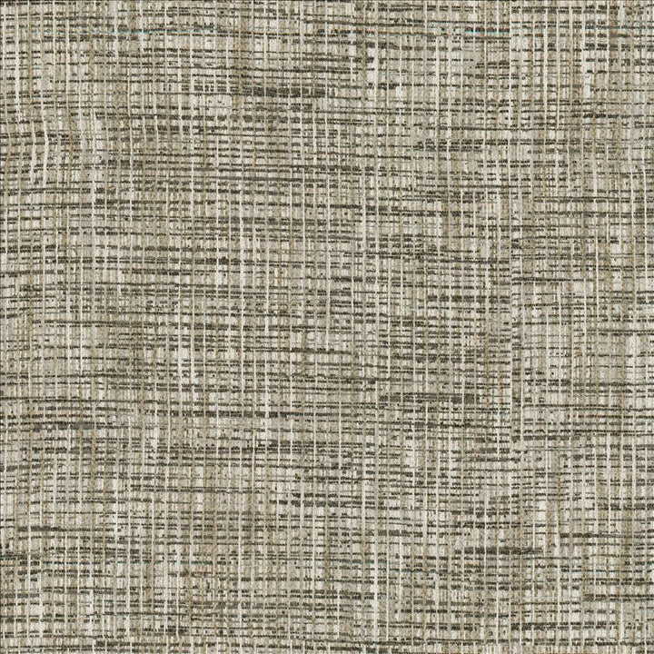Katniss Granite by Kasmir Fabric 1461 86% Polyester
14% Rayon
 INDIA 100,000 Wyzenbeek Double Rubs </p><p>Repeat: Horizontal: N/A and Vertical: N/A 57 - Fabric Carolina -