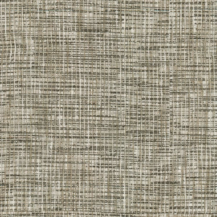 Katniss Granite by Kasmir Fabric 1461 86% Polyester
14% Rayon
 INDIA </p><p>Repeat: Horizontal: N/A and Vertical: N/A 57 - Fabric Carolina -