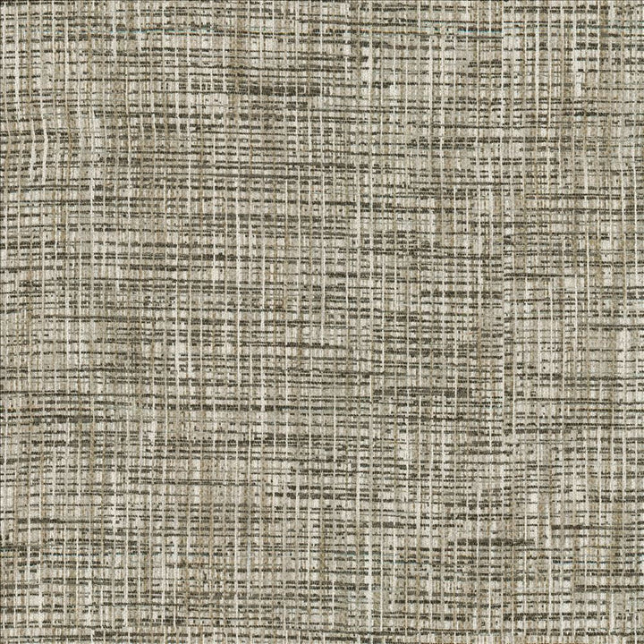 Katniss Granite by Kasmir Fabric 1461 86% Polyester
14% Rayon
 INDIA </p><p>Repeat: Horizontal: N/A and Vertical: N/A 57 - Fabric Carolina -