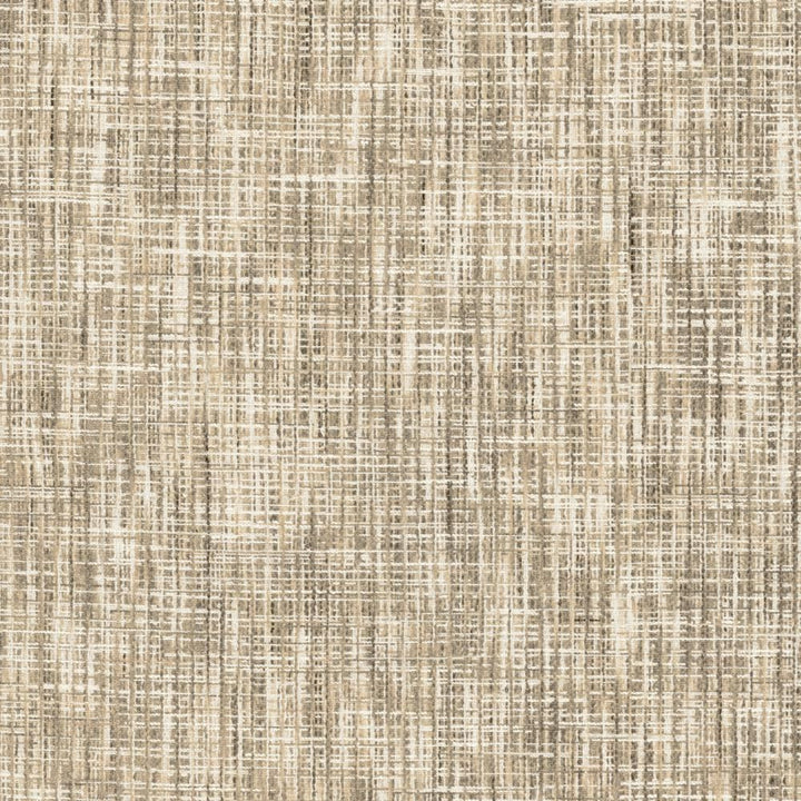 Katniss Pearl by Kasmir Fabric 1461 86% Polyester
14% Rayon
 INDIA </p><p>Repeat: Horizontal: N/A and Vertical: N/A 57 - Fabric Carolina -